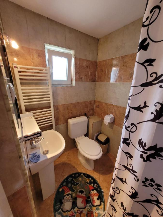 Vila Denisa Bran  Ngoại thất bức ảnh