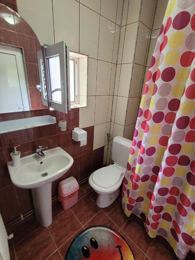 Vila Denisa Bran  Ngoại thất bức ảnh