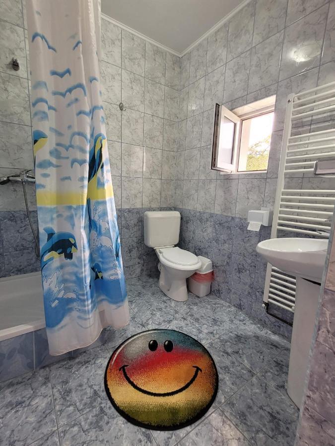 Vila Denisa Bran  Ngoại thất bức ảnh
